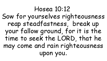 Obey What does the bible say about living in a sexless marriage
