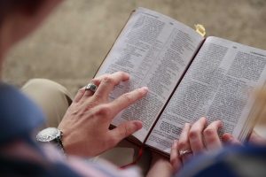top-rated Bible study guides for beginners